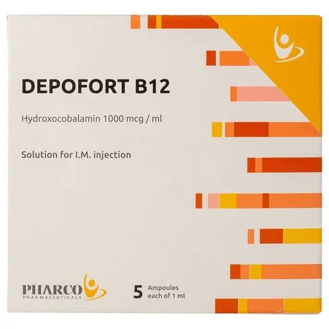 DEPOFORT B12 1000 5 AMP