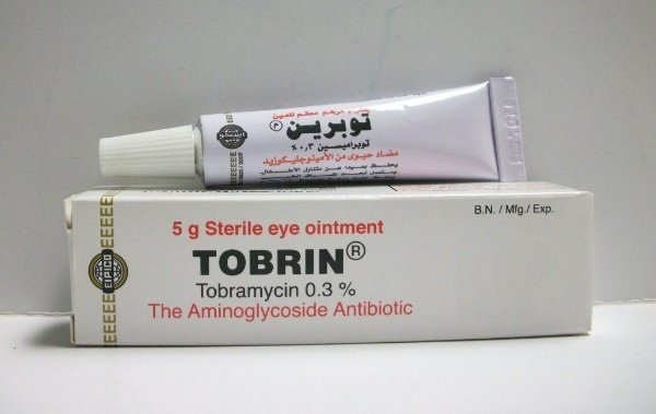 TOBRIN 0.3% 5 GM E-OINT س.ج