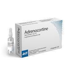 ADRENOCORTINE 1 MG 1 AMP