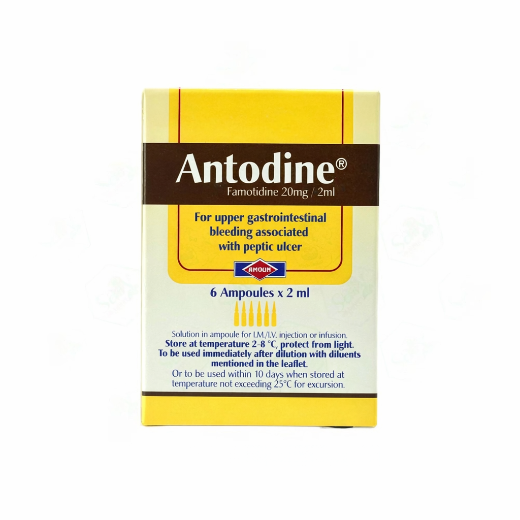 ANTODINE 20 MG 2 ML 6 AMP