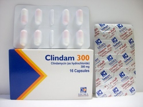 CLINDAM 300 MG 16 CAP س ج
