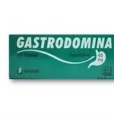 GASTRODOMINA 40 MG 30 TAB
