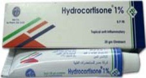 HYDROCORTISON 20 GM OINT
