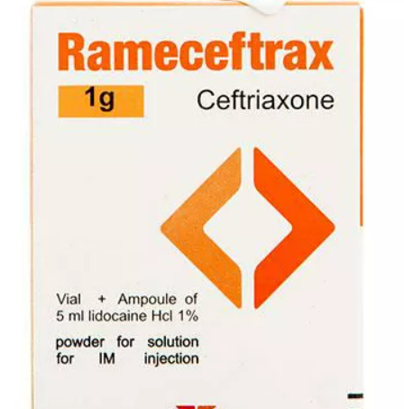 RAMECEFTRAX 1 GM / I.M س.ج عضل