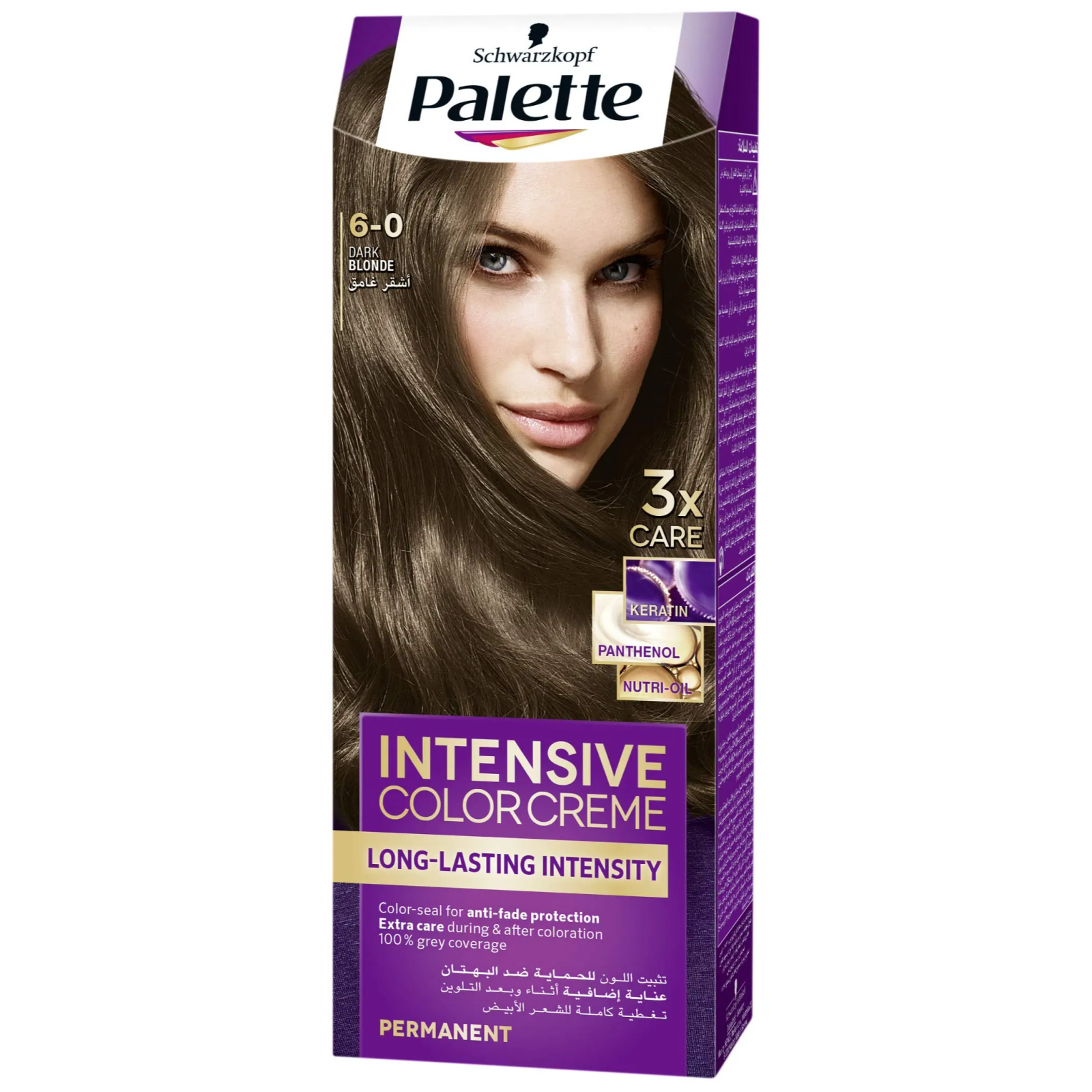 PALETTE SEMI KIT HAIR COLOUR 6-0 DARK BLONDE
