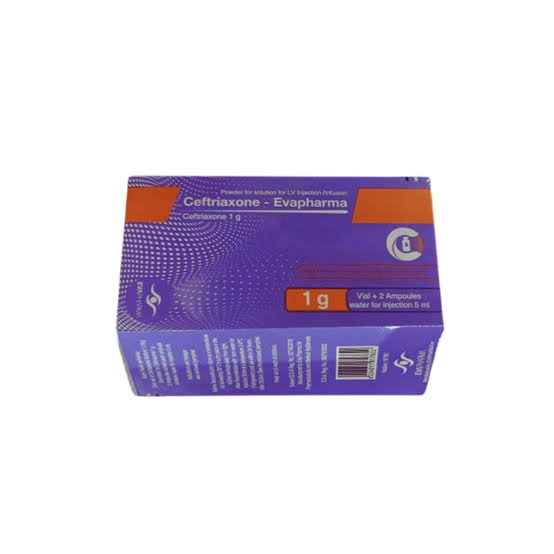 CEFTRIAXONE 1 GM I.V 1 AMP س.ج وريدي